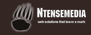 Ntensemedia Logo